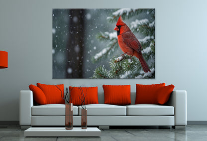 Red Cardinal on Snow-Covered Pine Wall Art Decor 100% Australian Made
