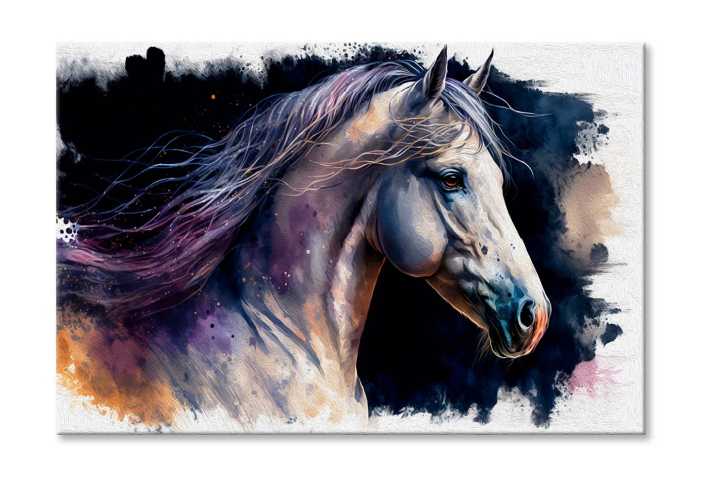 Watercolor Painting of Andalusian Horse Wall Art Limited Edition High Quality Print