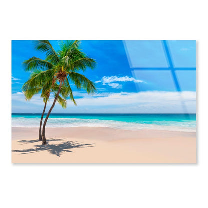 Sunny Sand Beach with Palm Acrylic Glass Print Tempered Glass Wall Art 100% Made in Australia Ready to Hang