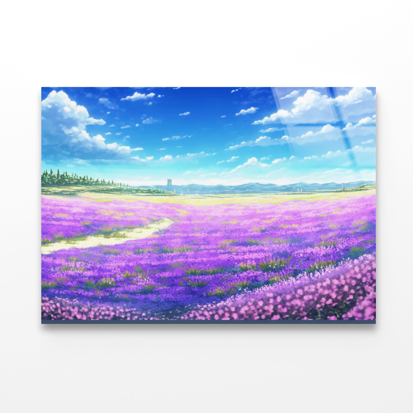 A Nice View of a Field Of Purple Flowers Acrylic Glass Print Tempered Glass Wall Art 100% Made in Australia Ready to Hang