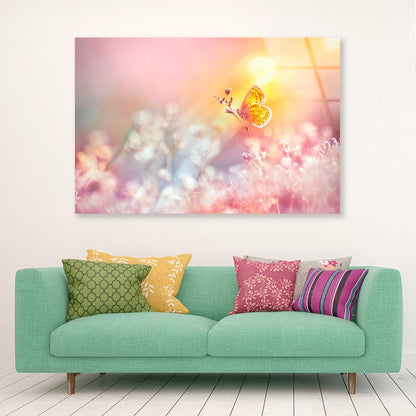 Golden Butterfly Glows in The Sun at Sunset Acrylic Glass Print Tempered Glass Wall Art 100% Made in Australia Ready to Hang