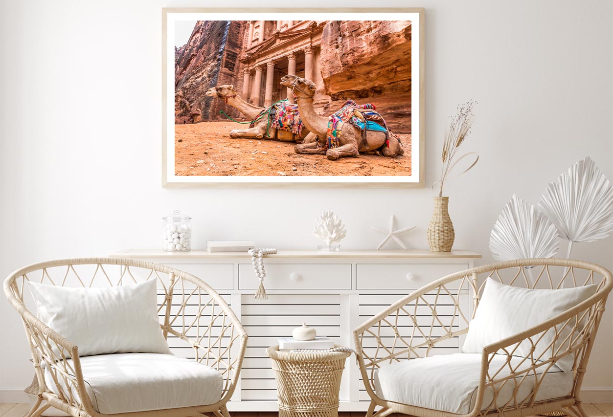 Camels & Carved into The Rock at Petra, Jordan Home Decor Premium Quality Poster Print Choose Your Sizes