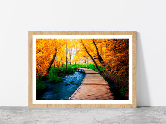 Wooden Path Trail For Nature Glass Framed Wall Art, Ready to Hang Quality Print With White Border Oak