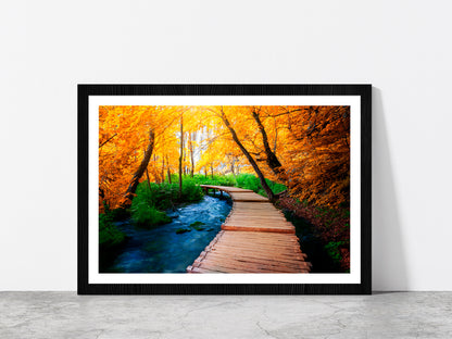 Wooden Path Trail For Nature Glass Framed Wall Art, Ready to Hang Quality Print With White Border Black