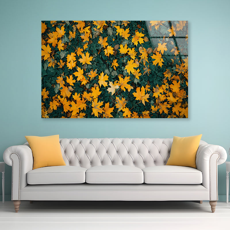 Close Up Of a Field Of Yellow Leaves Acrylic Glass Print Tempered Glass Wall Art 100% Made in Australia Ready to Hang