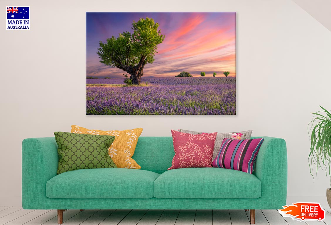 Lavender Field At Sunset Valensole Print 100% Australian Made