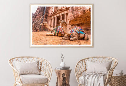 Camels & Carved into The Rock at Petra, Jordan Home Decor Premium Quality Poster Print Choose Your Sizes