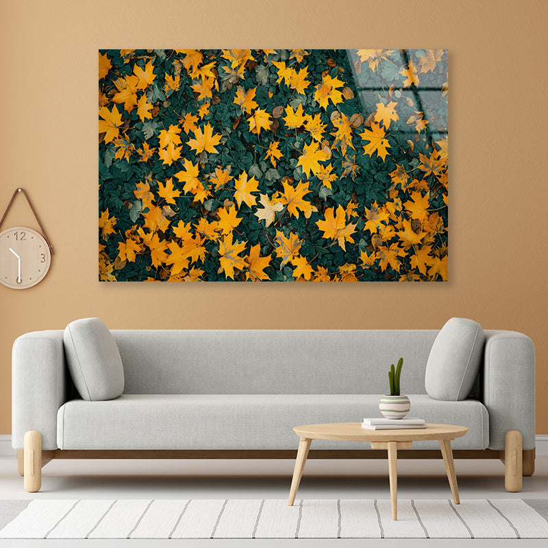 Close Up Of a Field Of Yellow Leaves Acrylic Glass Print Tempered Glass Wall Art 100% Made in Australia Ready to Hang