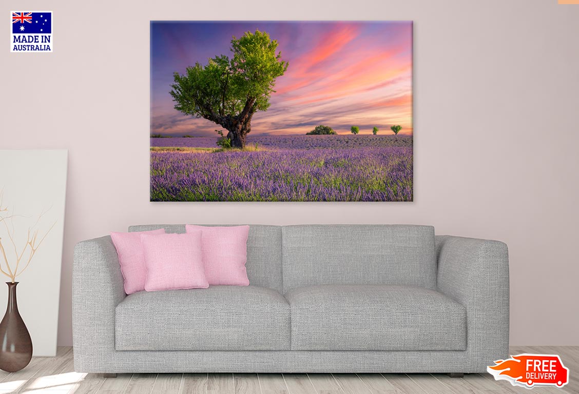 Lavender Field At Sunset Valensole Print 100% Australian Made