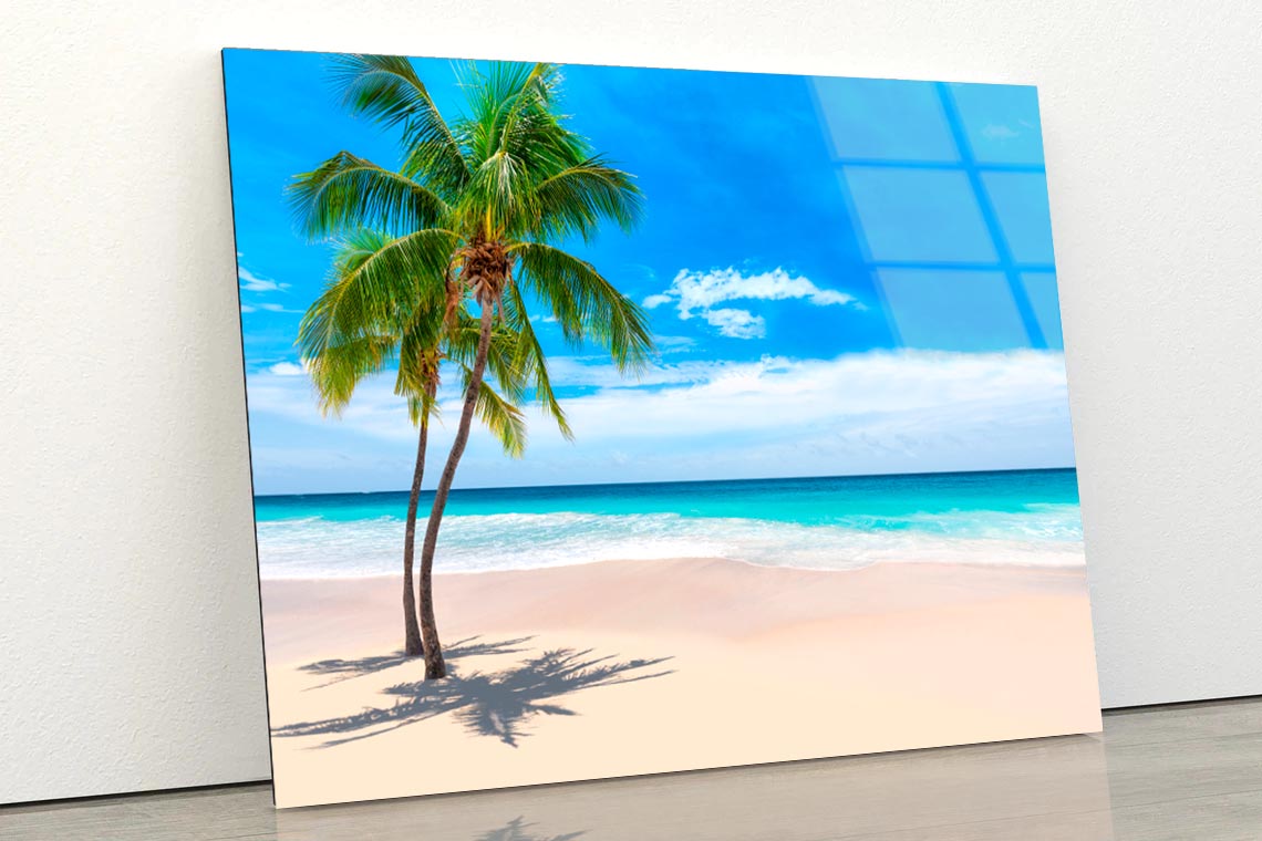 Sunny Sand Beach with Palm Acrylic Glass Print Tempered Glass Wall Art 100% Made in Australia Ready to Hang