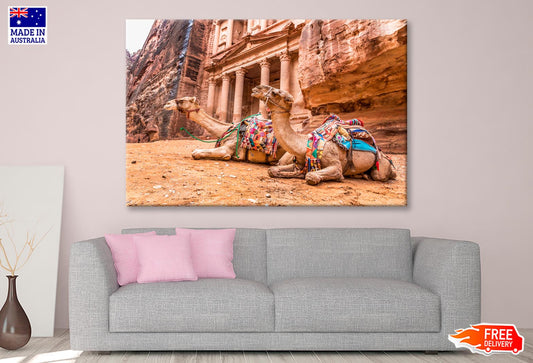 Camels & Carved into The Rock at Petra, Jordan Wall Art Decor 100% Australian Made