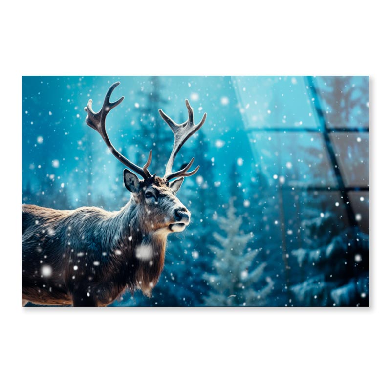 Moose In the Snowy Forest  Acrylic Glass Print Tempered Glass Wall Art 100% Made in Australia Ready to Hang