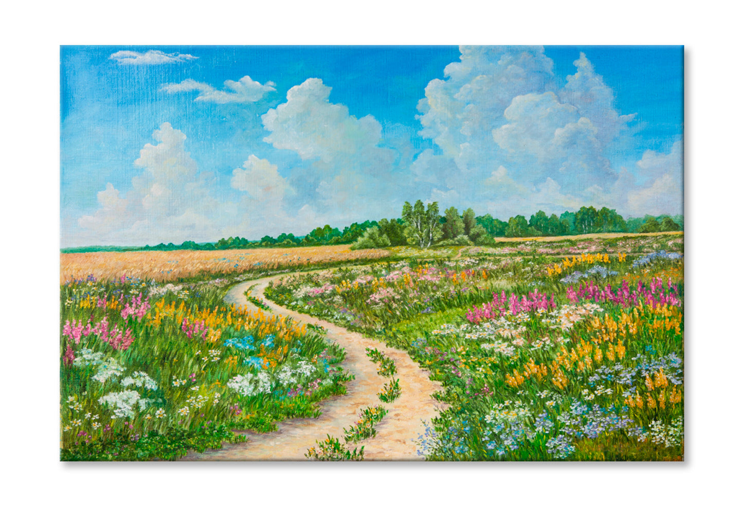 Blossoming Spring Field, Sunny Day Oil Painting Wall Art Limited Edition High Quality Print Stretched Canvas None