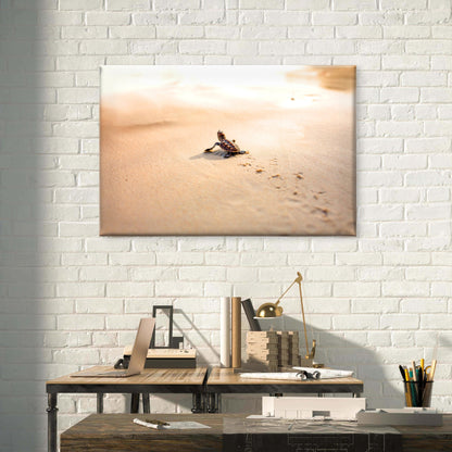 Baby Sea Turtle Florida Beach Wall Art Decor 100% Australian Made