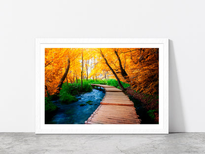 Wooden Path Trail For Nature Glass Framed Wall Art, Ready to Hang Quality Print With White Border White