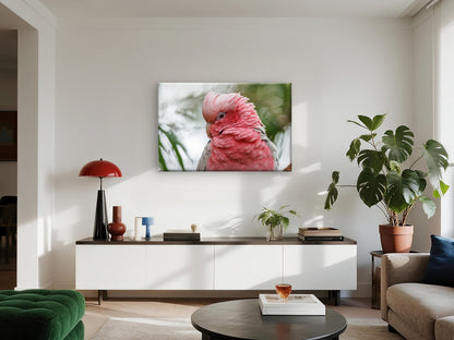 Galah Cockatoo Western Australia Wall Art Decor 100% Australian Made