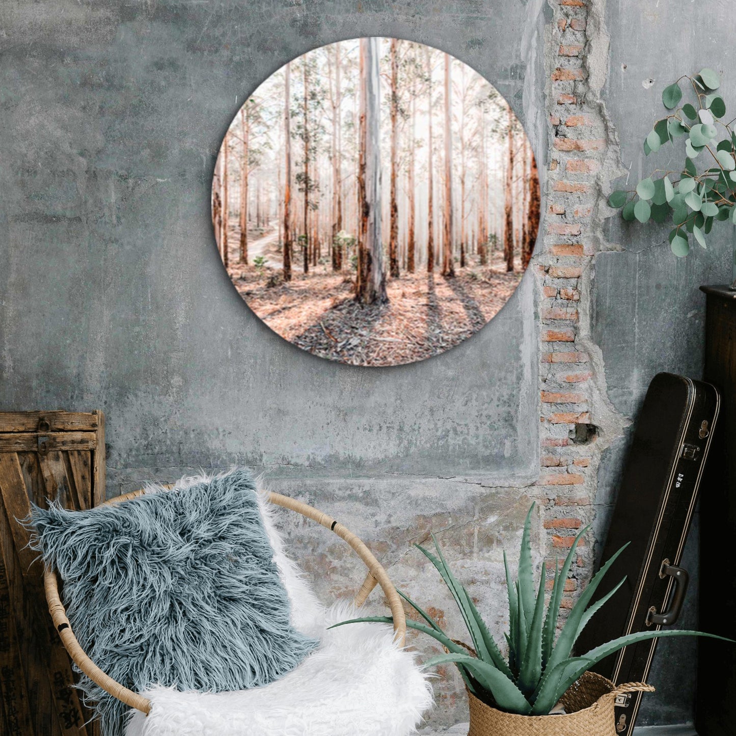 Faded Gum Tree Forest Neutral Color Acrylic Glass Rounded Print Tempered Glass Wall Art 100% Made in Australia Ready to Hang