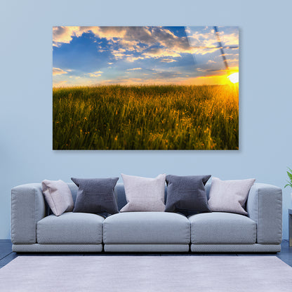 A Field Of Grass with the Sun Setting Acrylic Glass Print Tempered Glass Wall Art 100% Made in Australia Ready to Hang