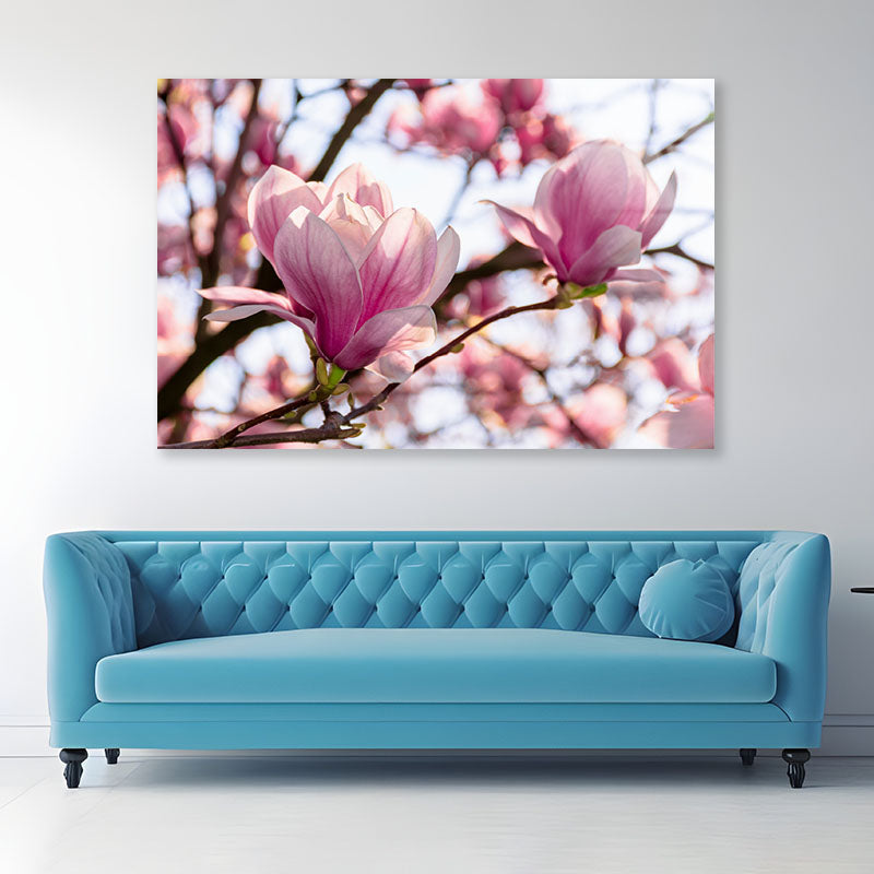 Pink Flower Blossom Springtime Acrylic Glass Print Tempered Glass Wall Art 100% Made in Australia Ready to Hang