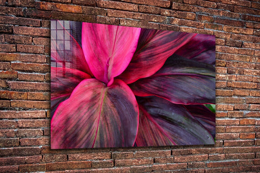 Purple Pink Leaves View UV Direct Aluminum Print Australian Made Quality