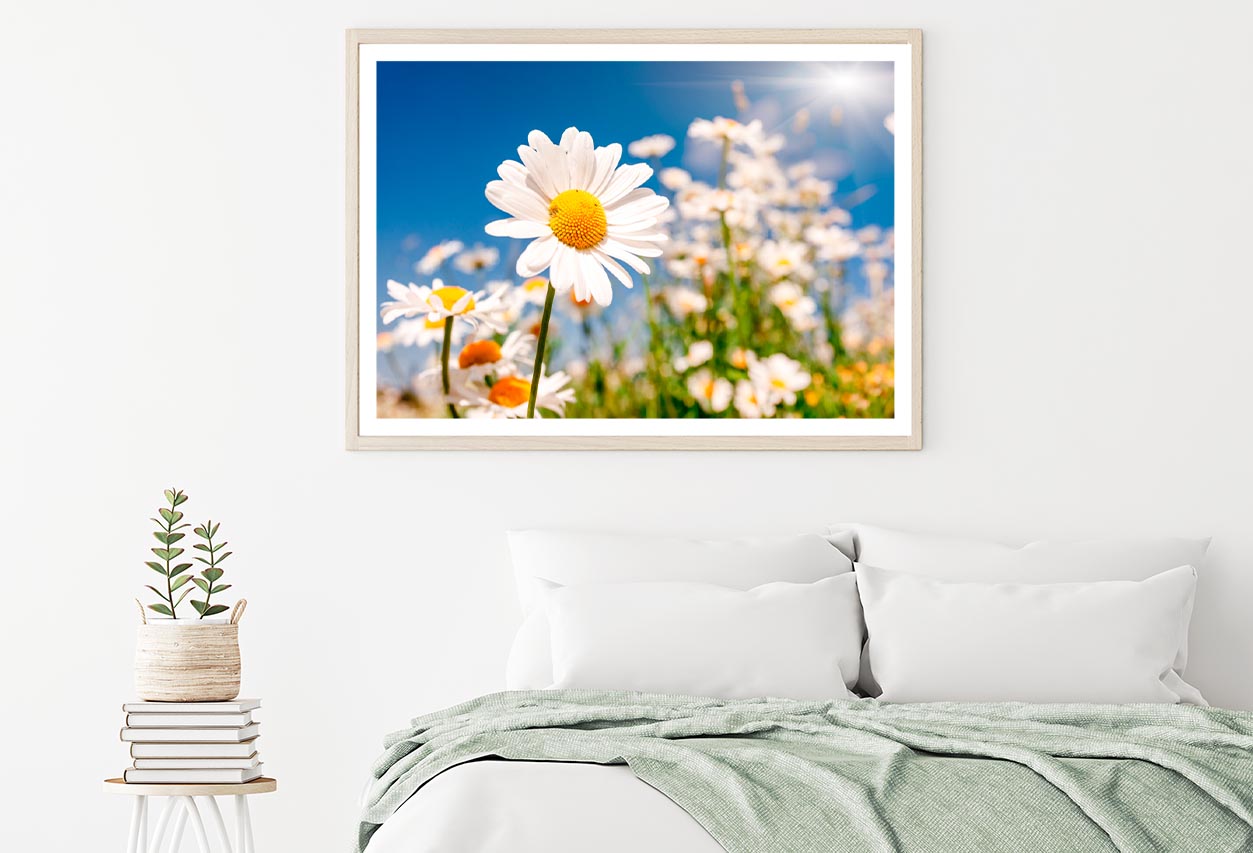 Summer Field With White Daisies on Blue Sky Home Decor Premium Quality Poster Print Choose Your Sizes