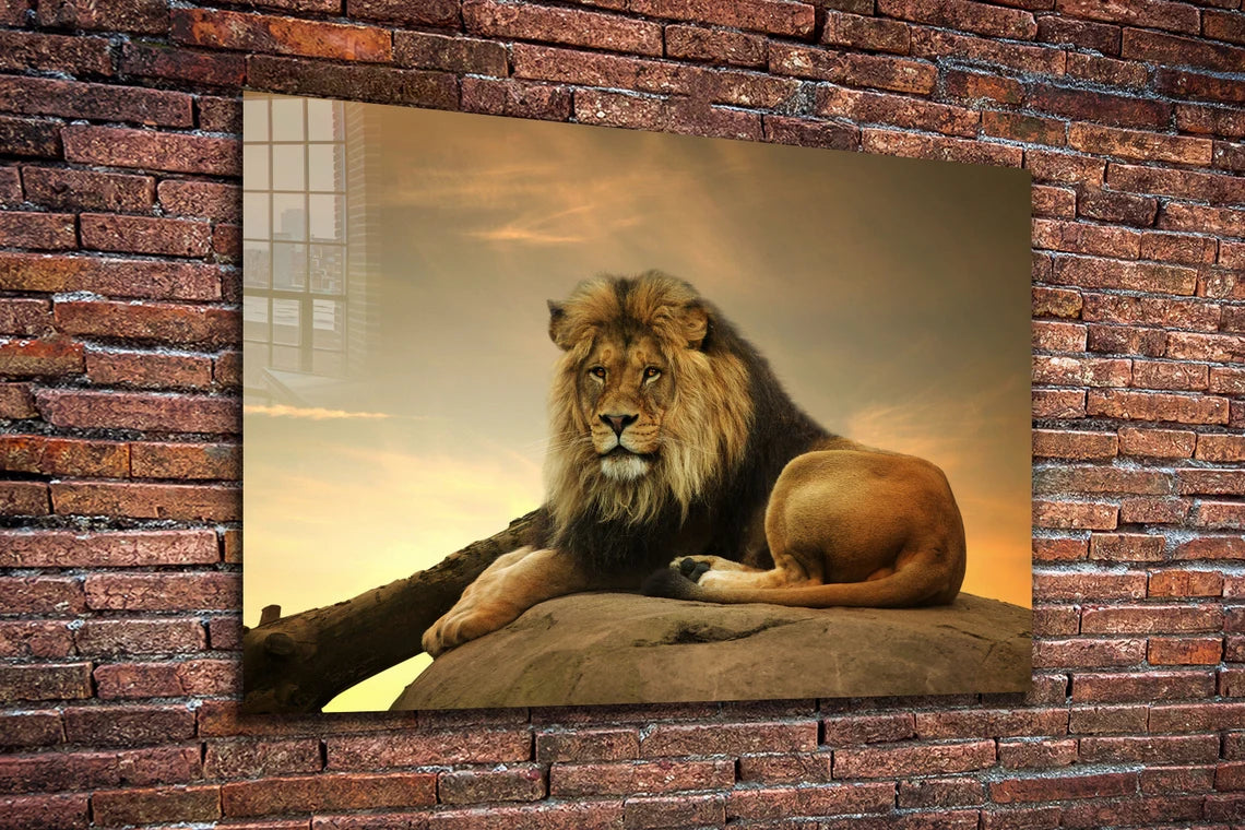 Lion on Rock Sunset Sky UV Direct Aluminum Print Australian Made Quality