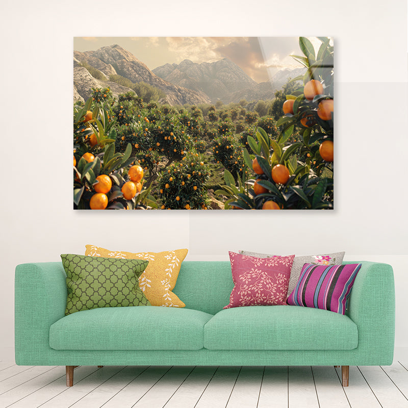 Oranges Growing, Mountain and the Sky Acrylic Glass Print Tempered Glass Wall Art 100% Made in Australia Ready to Hang