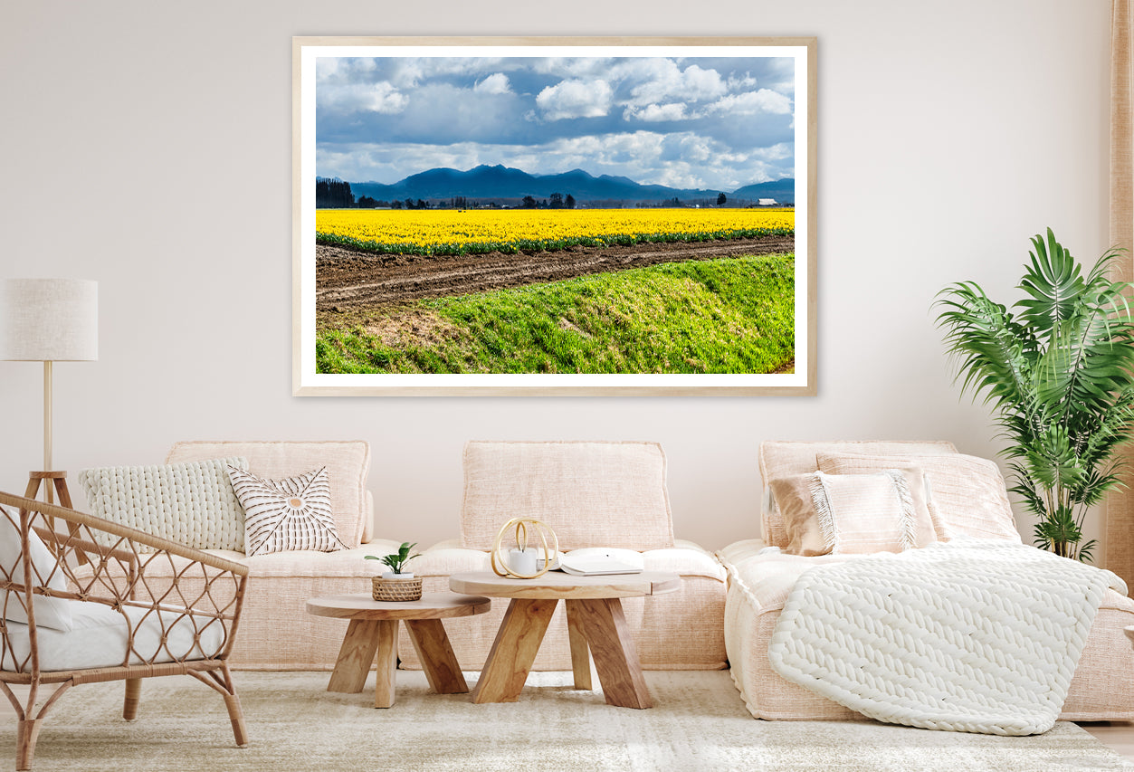 Field Of Yellow Flowers with Sky Home Decor Premium Quality Poster Print Choose Your Sizes