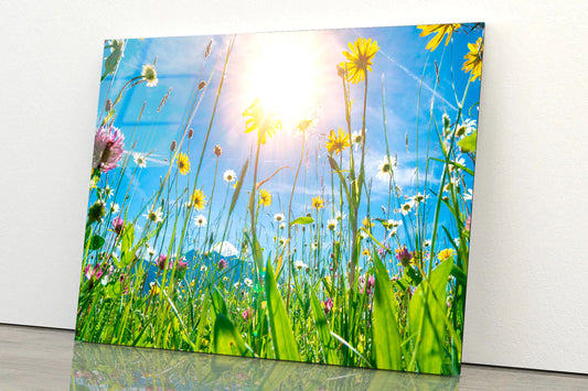Beautiful Flowers in Meadow Acrylic Glass Print Tempered Glass Wall Art 100% Made in Australia Ready to Hang