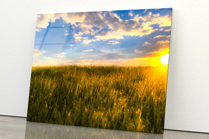 A Field Of Grass with the Sun Setting Acrylic Glass Print Tempered Glass Wall Art 100% Made in Australia Ready to Hang