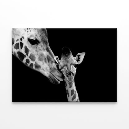 Mom and Baby Giraffe Faces  Wall Art Decor 100% Australian Made