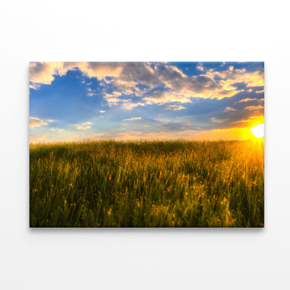 A Field Of Grass with the Sun Setting Print 100% Australian Made