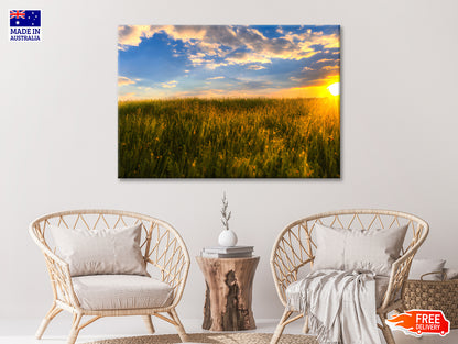 A Field Of Grass with the Sun Setting Print 100% Australian Made