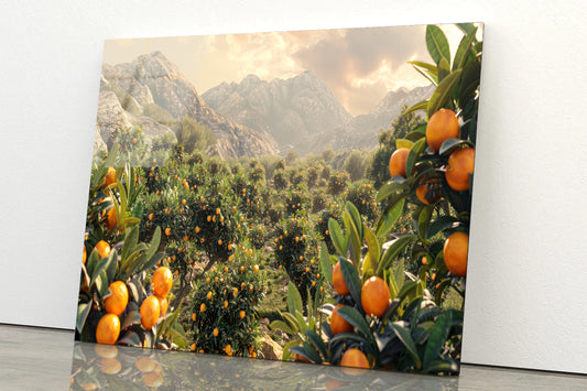 Oranges Growing, Mountain and the Sky Acrylic Glass Print Tempered Glass Wall Art 100% Made in Australia Ready to Hang