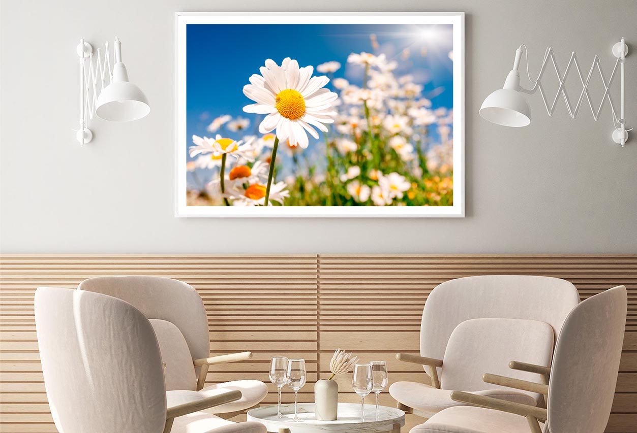 Summer Field With White Daisies on Blue Sky Home Decor Premium Quality Poster Print Choose Your Sizes