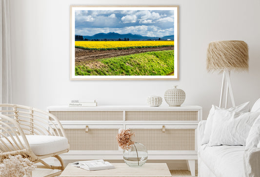 Field Of Yellow Flowers with Sky Home Decor Premium Quality Poster Print Choose Your Sizes