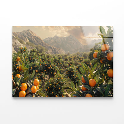 Oranges Growing, Mountain and the Sky Acrylic Glass Print Tempered Glass Wall Art 100% Made in Australia Ready to Hang