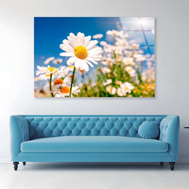 Summer Field With White Daisies on Blue Sky Acrylic Glass Print Tempered Glass Wall Art 100% Made in Australia Ready to Hang