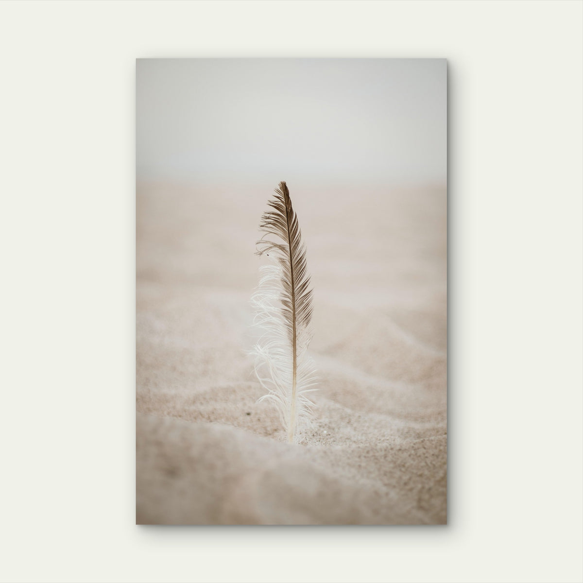Feather Sand Illustration 40x60cm Metal Print Ready to Hang