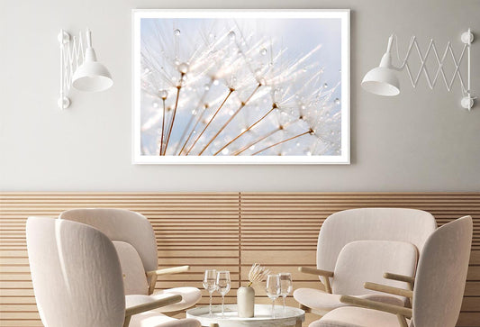 Water Droplet on Dandelion Seeds Home Decor Premium Quality Poster Print Choose Your Sizes