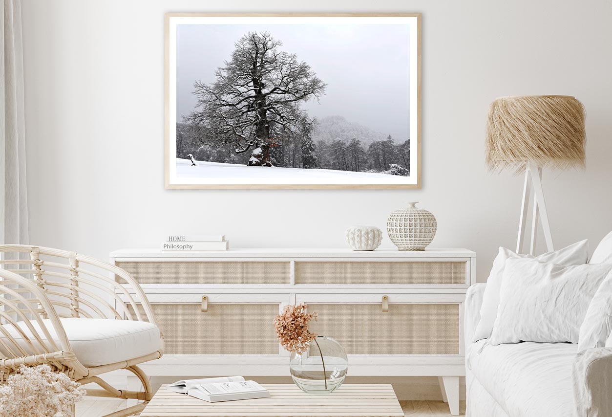 Oak Tree with Forest Scenery Home Decor Premium Quality Poster Print Choose Your Sizes