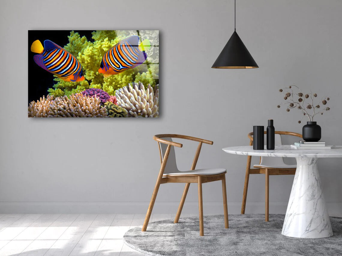 Colorful Fish UV Direct Aluminum Print Australian Made Quality