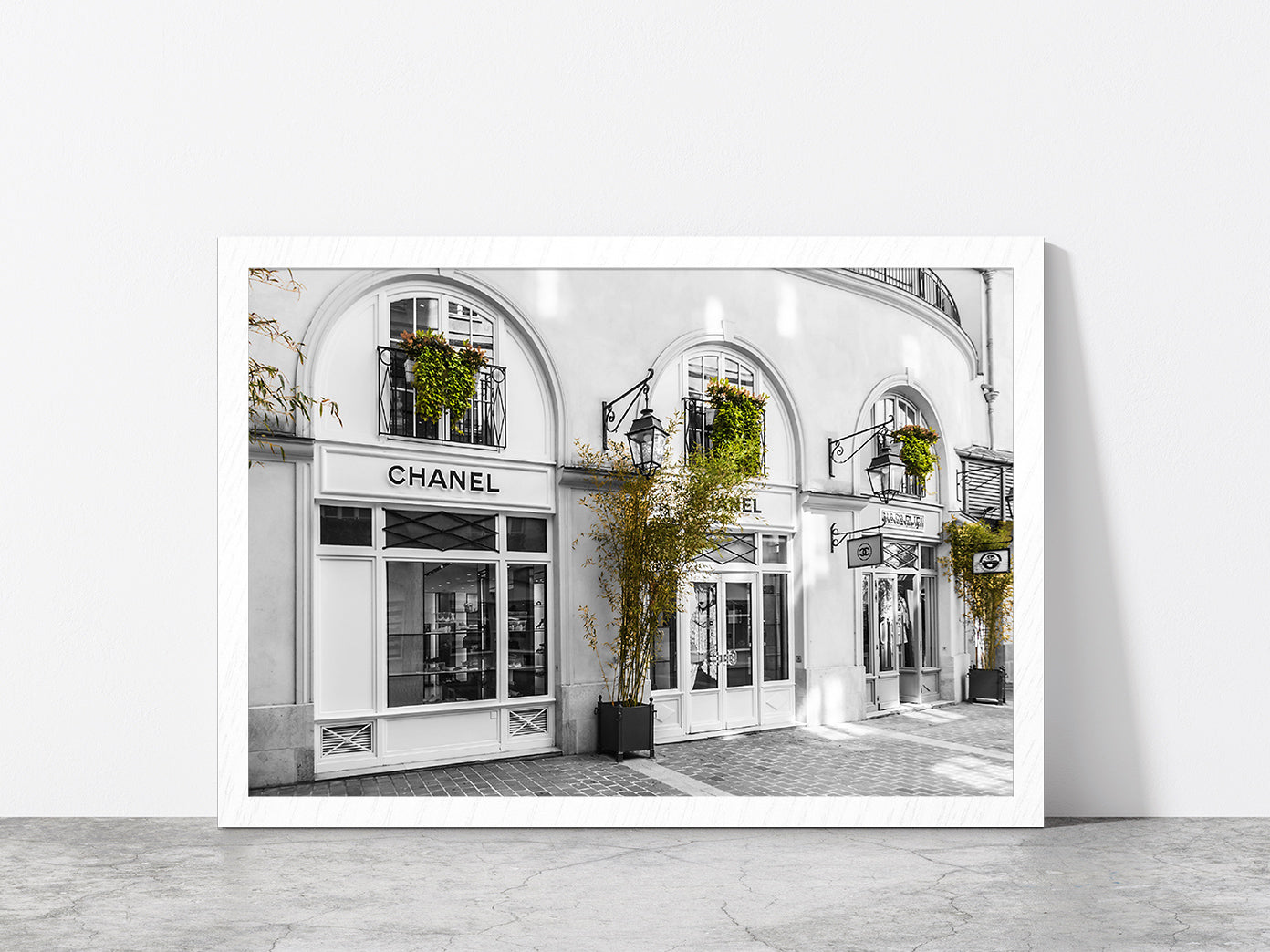 Plants near Fashion Store B&W Photograph Glass Framed Wall Art, Ready to Hang Quality Print Without White Border White