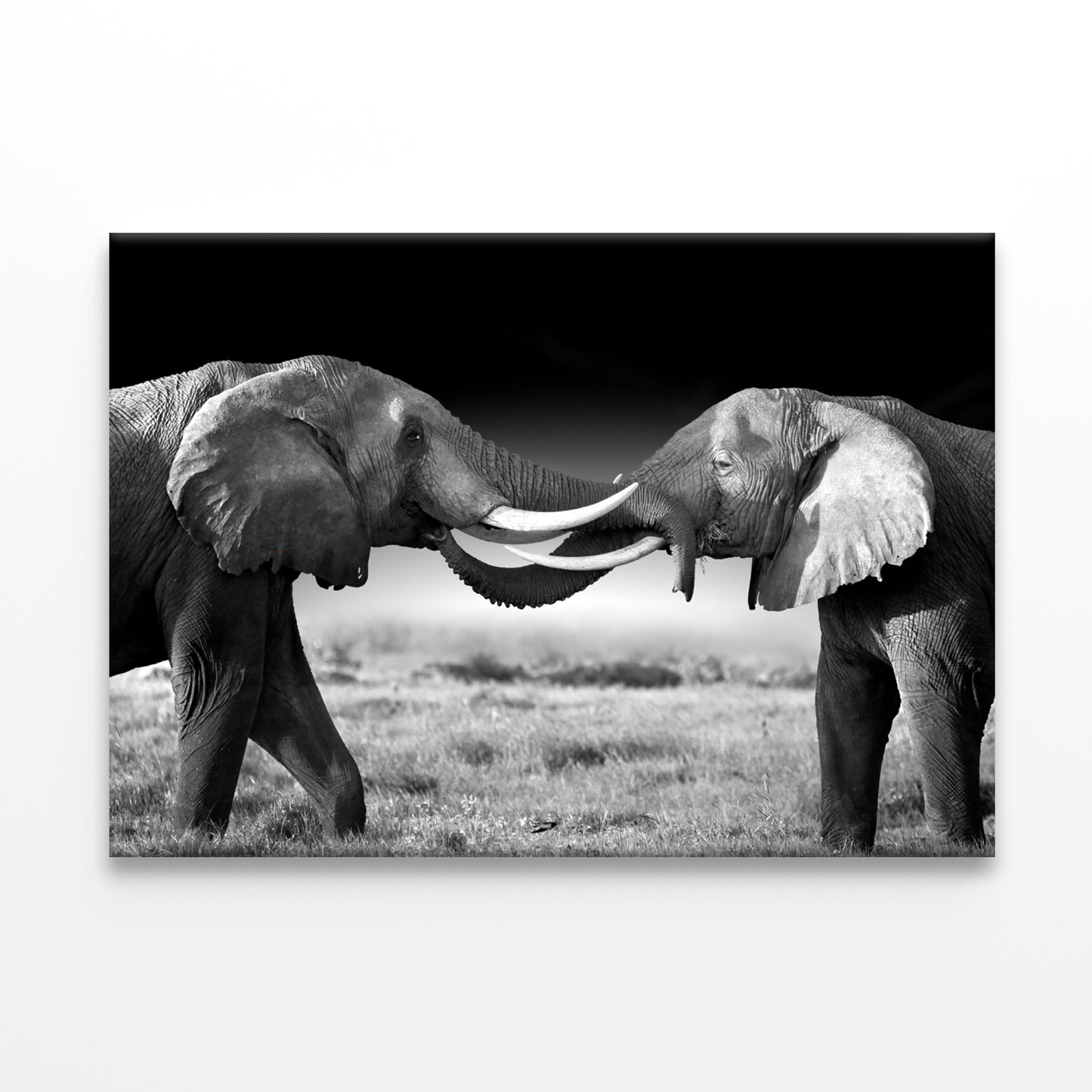 Elephants Touching Trunks Kenya Wall Art Decor 100% Australian Made