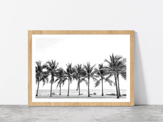 B&W Palm Trees near Beach Photograph Glass Framed Wall Art, Ready to Hang Quality Print With White Border Oak