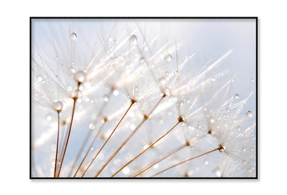 Water Droplet on Dandelion Seeds Home Decor Premium Quality Poster Print Choose Your Sizes