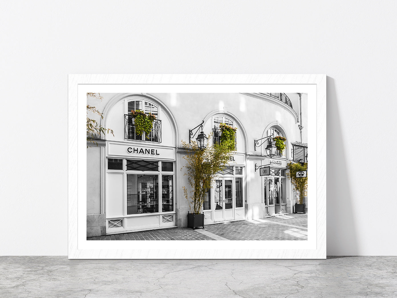 Plants near Fashion Store B&W Photograph Glass Framed Wall Art, Ready to Hang Quality Print With White Border White