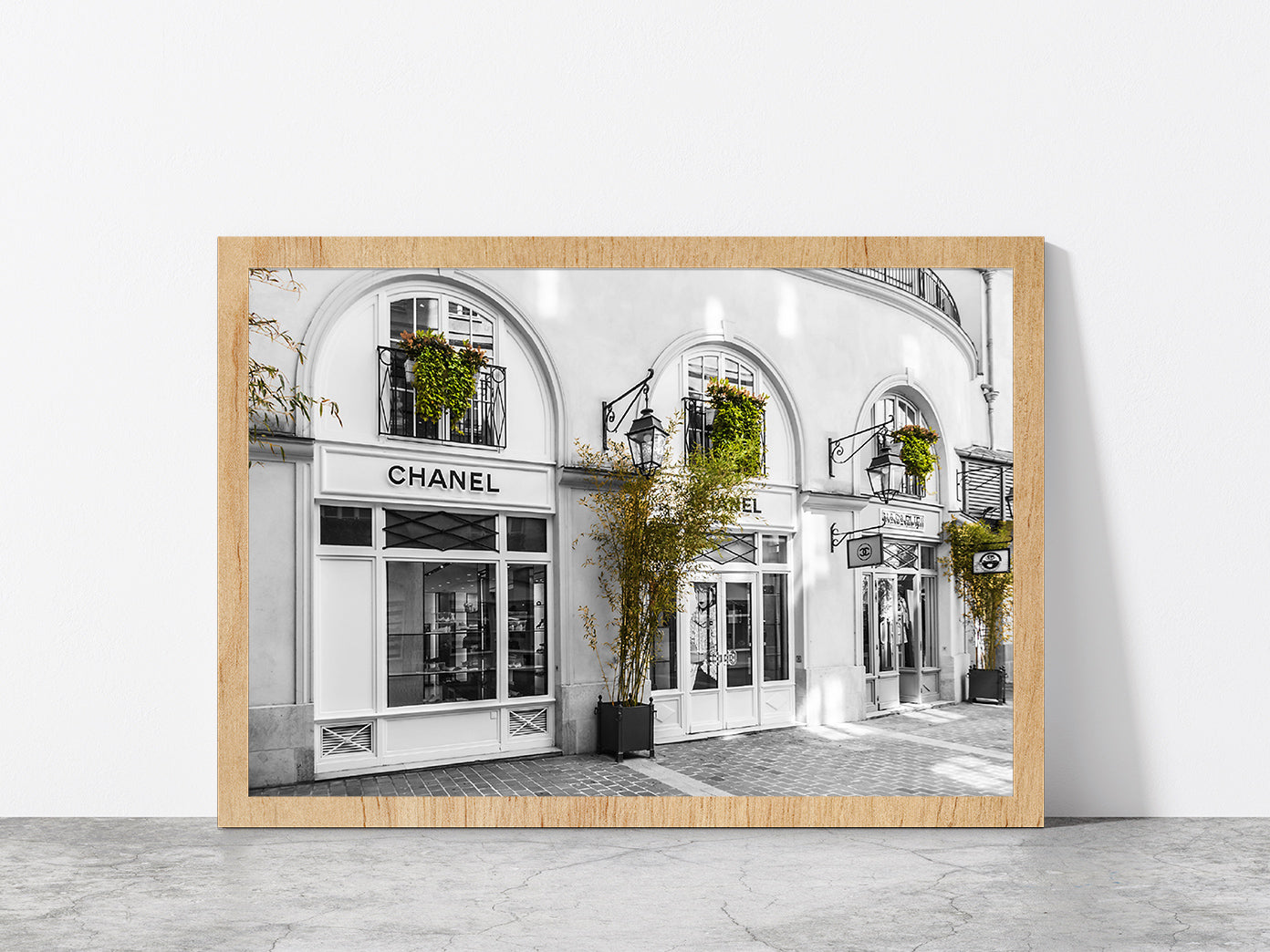 Plants near Fashion Store B&W Photograph Glass Framed Wall Art, Ready to Hang Quality Print Without White Border Oak