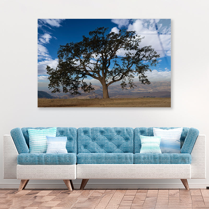 Lone Oak Tree with Clouds in California Acrylic Glass Print Tempered Glass Wall Art 100% Made in Australia Ready to Hang