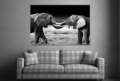 Elephants Touching Trunks Kenya Wall Art Decor 100% Australian Made